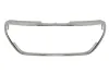 Zier-/Schutzleiste, K&uuml;hlergitter BLIC 6502-07-5509997PC