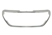 Zier-/Schutzleiste, Kühlergitter BLIC 6502-07-5509997PC