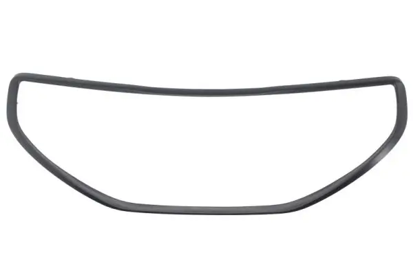 Zier-/Schutzleiste, Kühlergitter BLIC 6502-07-5509997P