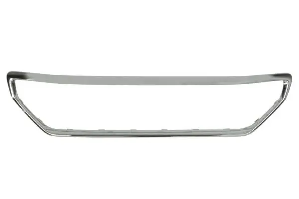 Zier-/Schutzleiste, Kühlergitter BLIC 6502-07-5511995P