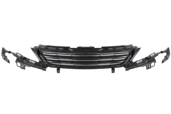 Kühlergitter BLIC 6502-07-5519992Q