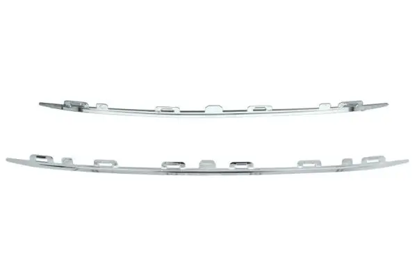 Zier-/Schutzleiste, Kühlergitter BLIC 6502-07-5519994P