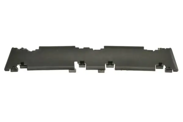 Lüftungsgitter, Stoßfänger vorne links Mitte unten BLIC 6502-07-5521920P