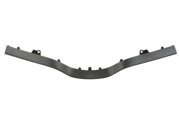 Zier-/Schutzleiste, Kühlergitter BLIC 6502-07-6011997Q