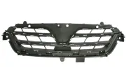 Kühlergitter unten vorne BLIC 6502-07-6015991P