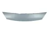 Blende, K&uuml;hlergitter vorne BLIC 6502-07-6039210Q