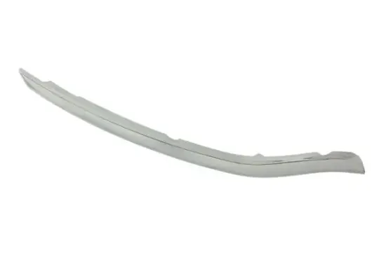 Zier-/Schutzleiste, Kühlergitter BLIC 6502-07-6040994P Bild Zier-/Schutzleiste, Kühlergitter BLIC 6502-07-6040994P