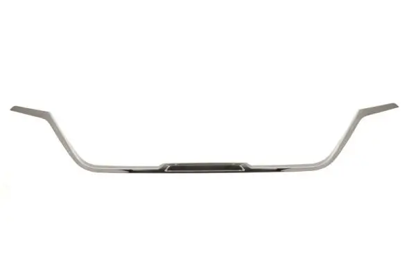 Zier-/Schutzleiste, Kühlergitter BLIC 6502-07-6066991P