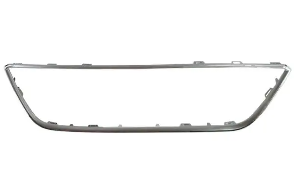 Zier-/Schutzleiste, Kühlergitter BLIC 6502-07-6614991P