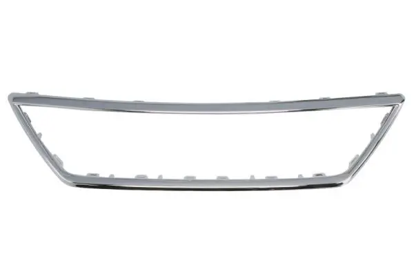 Zier-/Schutzleiste, Kühlergitter BLIC 6502-07-6619990P