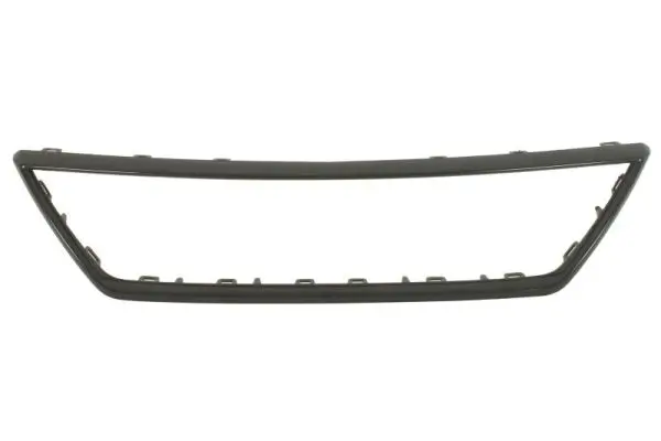 Zier-/Schutzleiste, Kühlergitter BLIC 6502-07-6619992Q