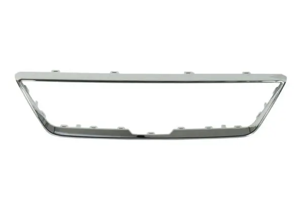 Zier-/Schutzleiste, Stoßfänger vorne links BLIC 6502-07-6623911P