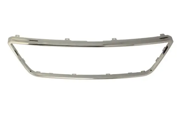 Zier-/Schutzleiste, Kühlergitter BLIC 6502-07-6630991P