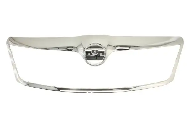 Zier-/Schutzleiste, Kühlergitter BLIC 6502-07-7521999Q