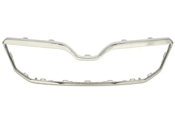 Zier-/Schutzleiste, Kühlergitter BLIC 6502-07-7535993P