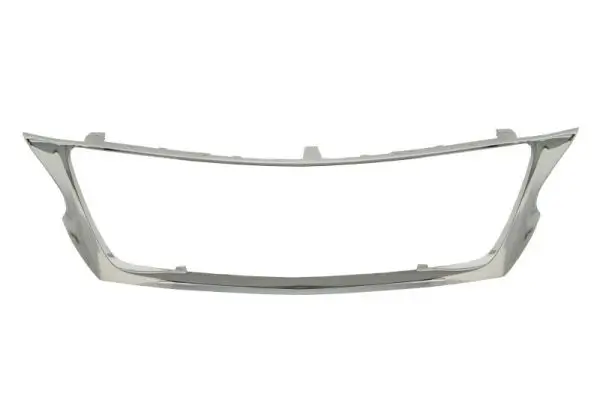 Zier-/Schutzleiste, Kühlergitter BLIC 6502-07-8121993P