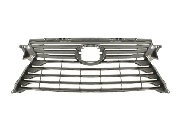 Kühlergitter BLIC 6502-07-8123993P