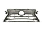 Kühlergitter BLIC 6502-07-8123993P