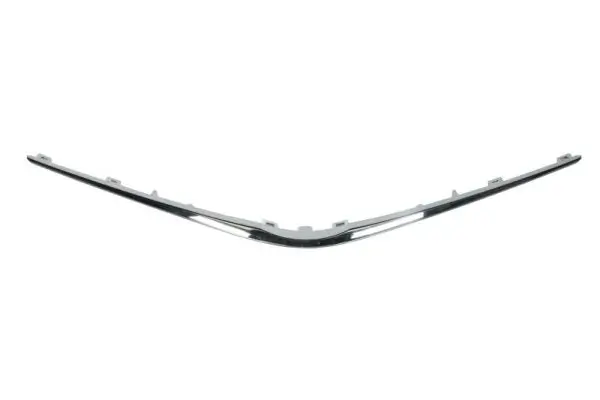 Zier-/Schutzleiste, Kühlergitter BLIC 6502-07-8156210Q