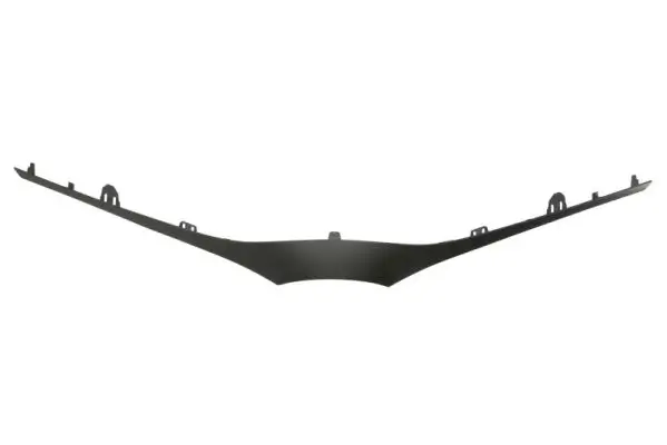 Zier-/Schutzleiste, Kühlergitter BLIC 6502-07-8157210P