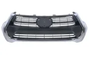Kühlergitter BLIC 6502-07-8176991P