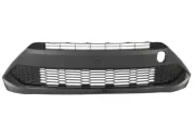 Lüftungsgitter, Stoßfänger vorne BLIC 6502-07-8186910P