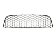 Lüftungsgitter, Stoßfänger vorne Mitte BLIC 6502-07-9524915P