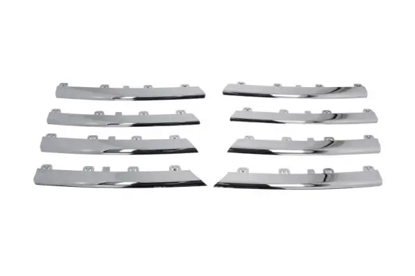 Zier-/Schutzleiste, Kühlergitter BLIC 6502-07-9544992P