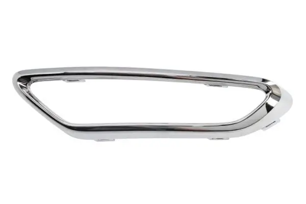 Zier-/Schutzleiste, Kühlergitter hinten vorne rechts BLIC 6502-07-9566918CP