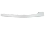 Zier-/Schutzleiste, Stoßfänger hinten vorne links BLIC 6502-07-9586977P