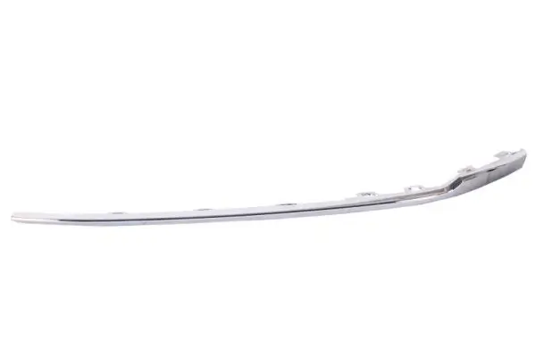 Zier-/Schutzleiste, Stoßfänger vorne links BLIC 6502-07-9589923P