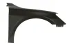 Kotflügel vorne BLIC 6504-04-0039312P