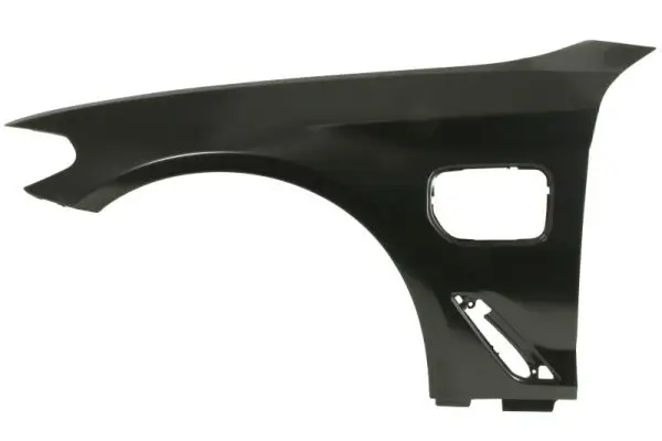 Kotflügel vorne links vorne rechts BLIC 6504-04-0068313HP