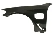 Kotflügel vorne links vorne rechts BLIC 6504-04-0068313HP