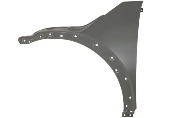 Kotflügel vorne links vorne rechts BLIC 6504-04-3133311P