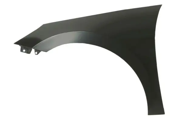 Kotflügel vorne links BLIC 6504-04-3174311P