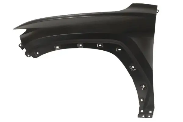 Kotflügel vorne links vorne rechts BLIC 6504-04-3187311P