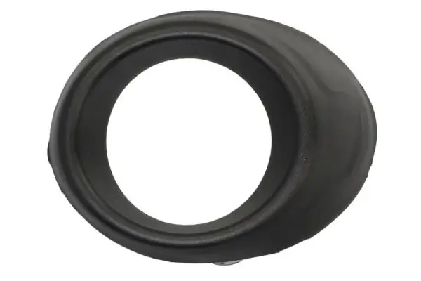 Rahmen, Nebelscheinwerfer vorne rechts BLIC 6509-01-2537922P