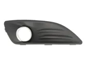 Lüftungsgitter, Stoßfänger vorne rechts BLIC 6509-01-2565916Q