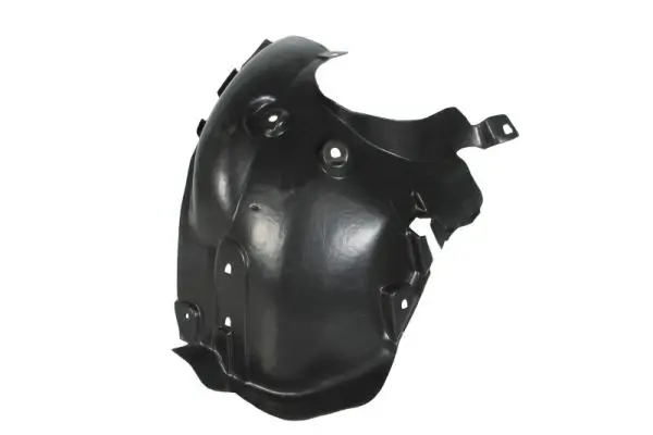 Verkleidung, Radhaus vorne links BLIC 6601-01-6009807P