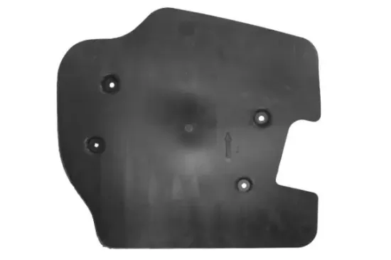 Steinschlagschutz, Lenker vorne rechts BLIC 6601-02-0078882P Bild Steinschlagschutz, Lenker vorne rechts BLIC 6601-02-0078882P