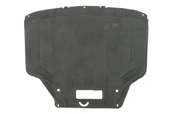Motor-/Unterfahrschutz BLIC 6601-02-2539860P
