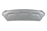 Motorabdeckung BLIC 6601-02-2579881P