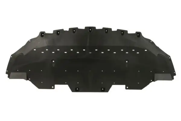 Motor-/Unterfahrschutz BLIC 6601-02-2589861P