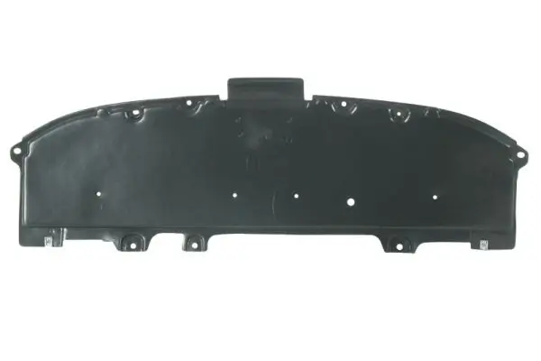 Motor-/Unterfahrschutz BLIC 6601-02-3422860P