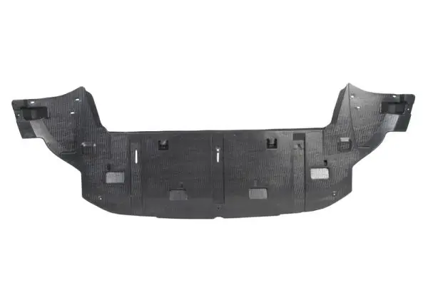 Motorabdeckung Stoßfänger BLIC 6601-02-5519880P