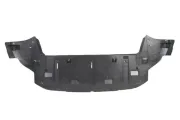 Motorabdeckung Stoßfänger BLIC 6601-02-5519880P