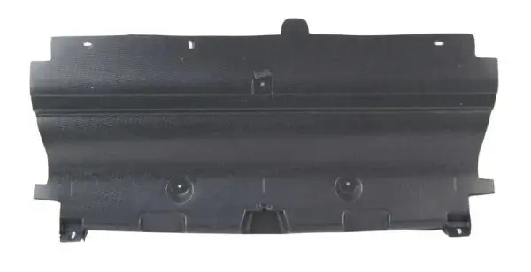 Motorabdeckung Stoßfänger BLIC 6601-02-5537880P