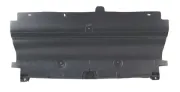 Motorabdeckung Stoßfänger BLIC 6601-02-5537880P