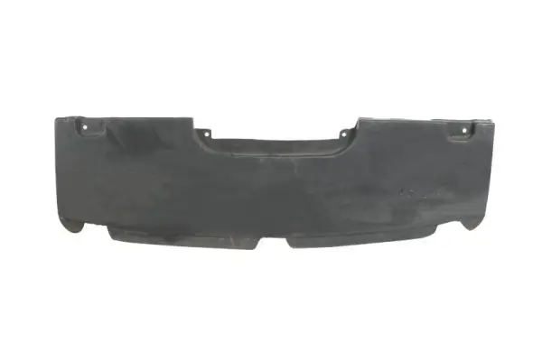 Motorabdeckung Stoßfänger BLIC 6601-02-5541880P